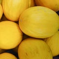 Canary Melons Royalty Free Stock Photo